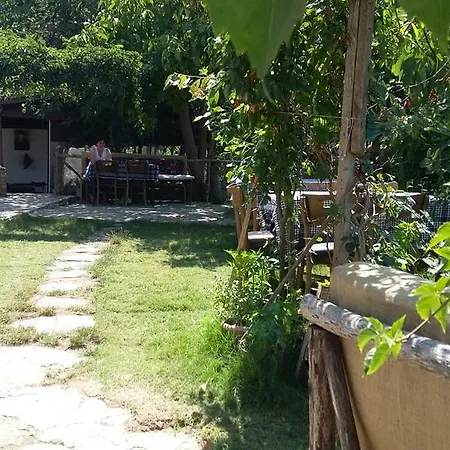 홈스테이 Oz Garden