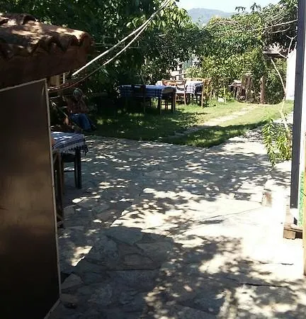 Проживание в семье Oz Garden