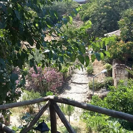 Oz Garden Сельчук