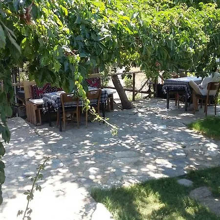 Проживание в семье Oz Garden *