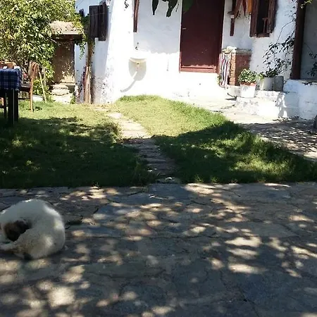 Проживание в семье Oz Garden Сельчук