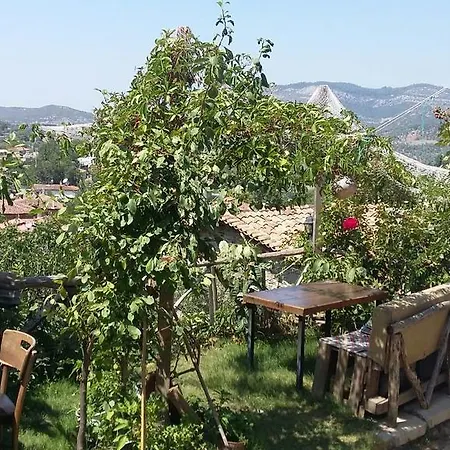 Проживание в семье Oz Garden