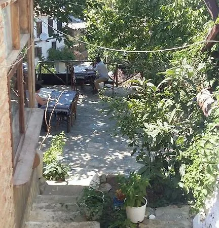 Проживание в семье Oz Garden